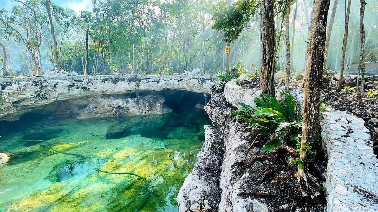 Tiny House En La Selva Con Cenote Natural Privado Villa Tulum