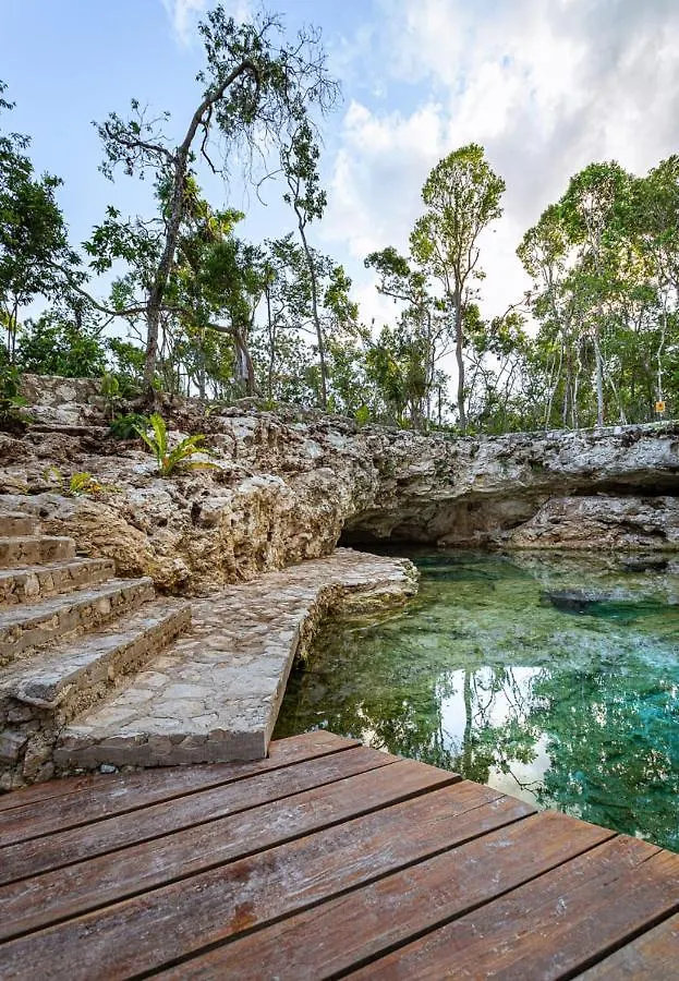 Tiny House En La Selva Con Cenote Natural Privado Villa