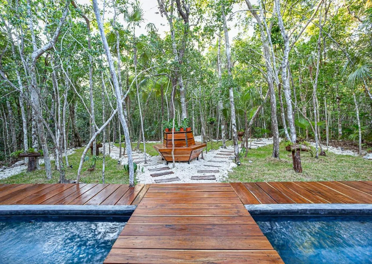 Tiny House En La Selva Con Cenote Natural Privado Tulum